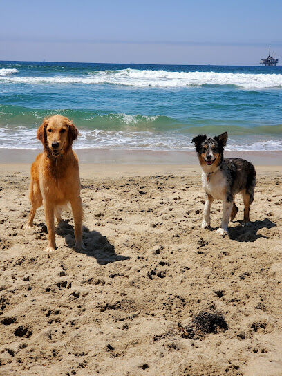 Dog Beach