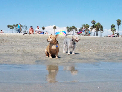 Rosie's Dog Beach