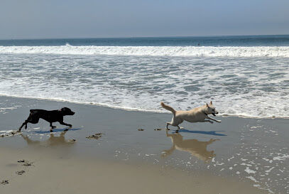 Coronado Dog Beach