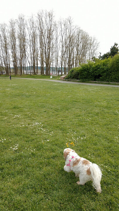 Golden Gardens Park